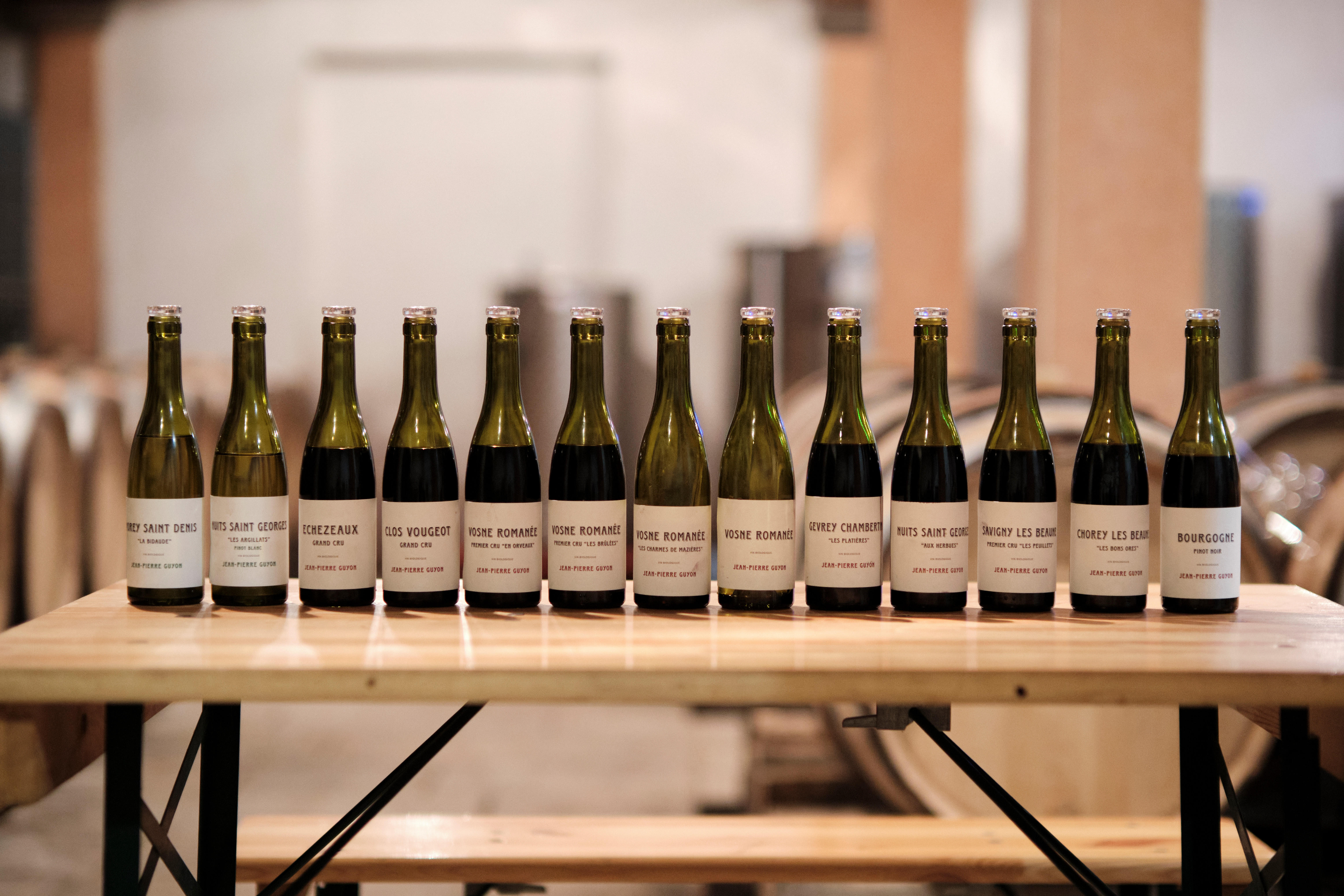 Sample-bottles_vintage removed_Domaine-Jean-Pierre-Guyon_Vosne-Romanee_Burugndy-2021_Jason-Lowe